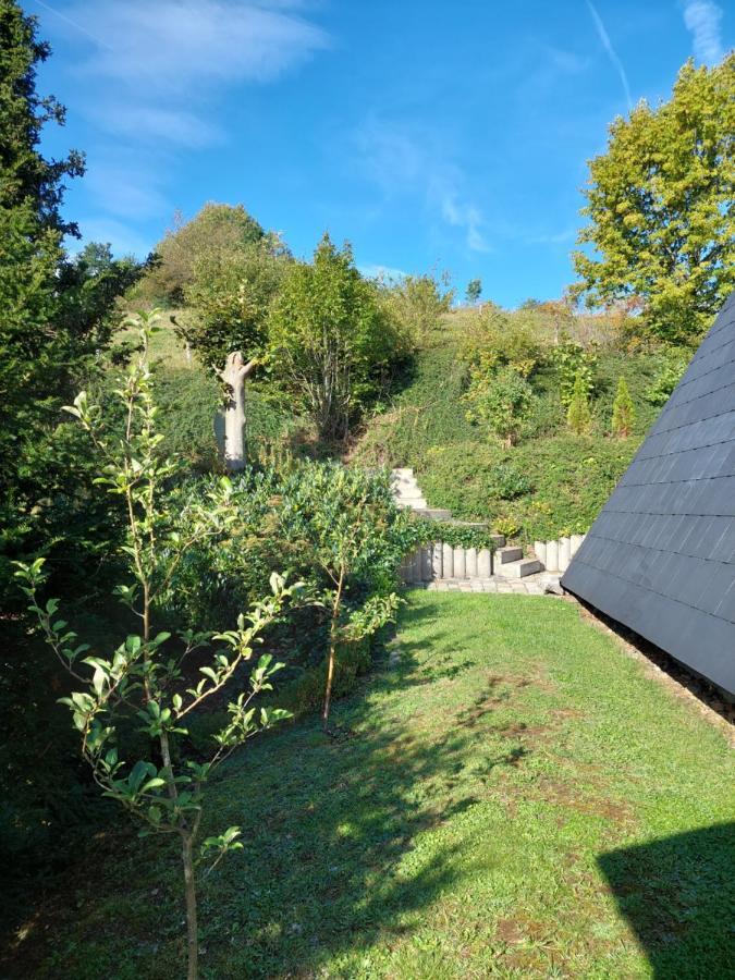 Haus Am See Willingen Willingen  Dış mekan fotoğraf