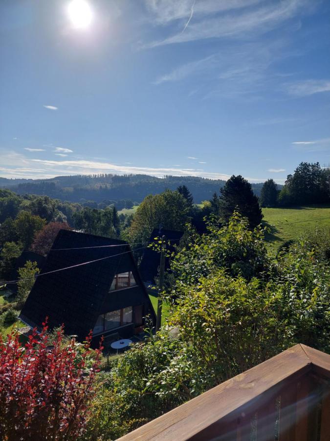 Haus Am See Willingen Willingen  Dış mekan fotoğraf