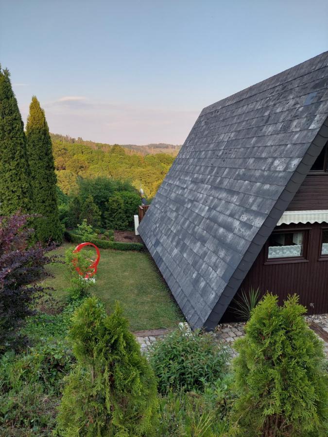 Haus Am See Willingen Willingen  Dış mekan fotoğraf